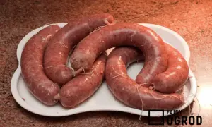 Jak zrobić kiełbasę krakowską domowym sposobem - prosty przepis krok po kroku