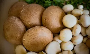 Jakie przyprawy do pieczarek i cebuli, które zmienią smak potraw?