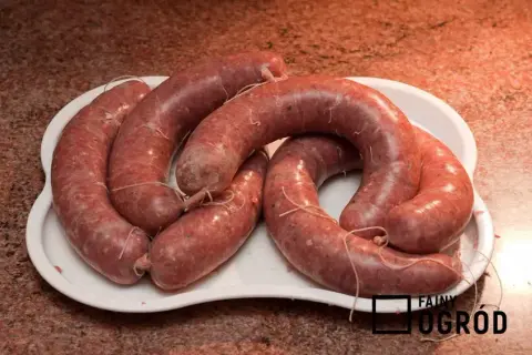Jak zrobić kiełbasę krakowską domowym sposobem - prosty przepis krok po kroku