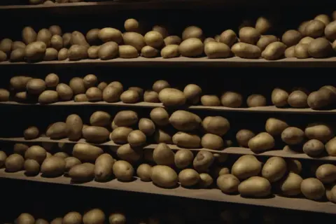 Półki pełne ziemniaków, idealne do przechowywania surowych, obranych ziemniaków.