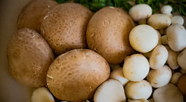 Jakie przyprawy do pieczarek i cebuli, które zmienią smak potraw?