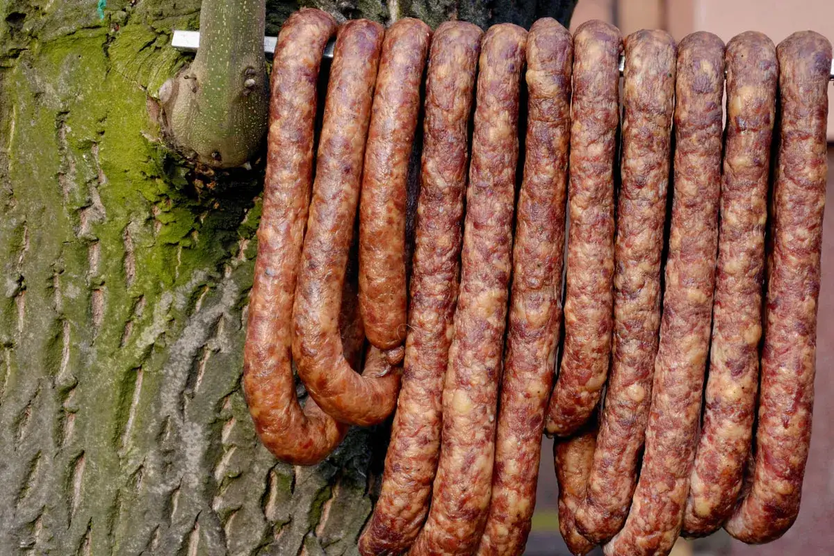 Wędzone kiełbaski wiszą na drzewie. Idealna ilość soli, pieprzu i czosnku do kiełbasy to sekret smaku.